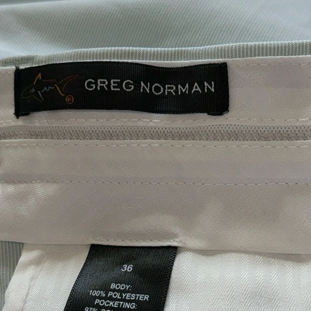 Greg‎ Norman Collection Sz 36 Color mint green flat front men’s shorts